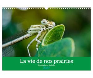 La vie de nos prairies - Demoiselles et libellules (Calendrier mural 2027 DIN A3 vertical), CALVENDO calendrier mensuel: À la découverte des petites bêtes de nos prairies