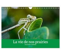 La vie de nos prairies - Demoiselles et libellules (Calendrier mural 2027 DIN A4 vertical), CALVENDO calendrier mensuel: À la découverte des petites bêtes de nos prairies