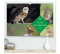 La vie des chouettes, les dames de la nuit (Calendrier mural 2026 DIN A2 vertical) calendrier de bureau: Partez à la découverte des chouettes en images