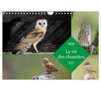 La vie des chouettes, les dames de la nuit (Calendrier mural 2026 DIN A4 vertical), CALVENDO calendrier mensuel: Partez à la découverte des chouettes en images