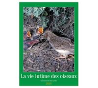 La vie intime des oiseaux Les oiseaux et leurs petits (Calendrier mural 2026 DIN A4 horizontal), CALVENDO calendrier mensuel: Rencontre avec les oiseaux de nos contrées