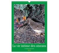 La vie intime des oiseaux Les oiseaux et leurs petits (Calendario da parete 2027 DIN A3 orizzontale), CALVENDO calendario mensile