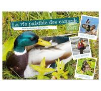La vie paisible des canards (Calendrier mural 2027 DIN A2 vertical), CALVENDO calendrier mensuel: Observer les canards est un grand plaisir