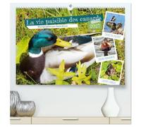 La vie paisible des canards (Calendrier mural haut de gamme 2027 DIN A2 vertical), CALVENDO calendrier mensuel: Observer les canards est un grand plaisir