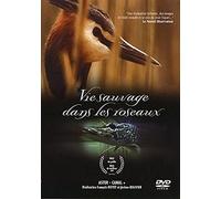 La Vie Sauvage Dans Les Roseaux
