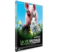 La vie sauvage des animaux domestiques