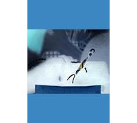 La Virgen del Tepeyac o la Virgen de Guadalupe: Volumen II