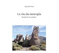 La vita. Che meraviglia di Luigi Dello Preite, 2014, Youcanprint