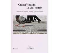 La vita com'è. Storia di bar, piccioni, cimiteri e giovani scrittori - Ver...