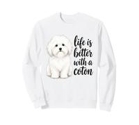 La Vita del Cane Coton è Migliore con i detti del Proprietario di Coton Felpa