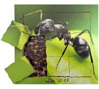 La vita della formica e il suo ciclo - puzzle stratificato in legno