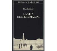La vita delle immagini