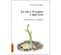 La vita e il respiro e ogni cosa. Termodinamica e abiogenesi