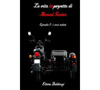 La vita imperfetta di Manuel Santer: episodio 1: i cocci rubati