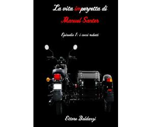 La vita imperfetta di Manuel Santer: episodio 1: i cocci rubati