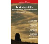 La vita invisibile. Racconti di preghiera, pellegrinaggio, miracolo
