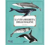La vita segreta delle balene