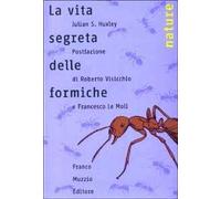 La vita segreta delle formiche