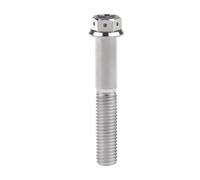 la vite di titanio, Bulloni flangiati esagonali M8x1,25x15-55mm Chiave esagonale da 6mm Lega di titanio Grado 5 Confezione da 4 Multicolore(Titanium,50MM-M8)