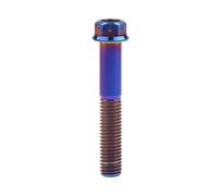 la vite di titanio, Bulloni flangiati esagonali M8x1,25x15-55mm Chiave esagonale da 6mm Lega di titanio Grado 5 Confezione da 4 Multicolore(Burn Blue,15MM-M8)
