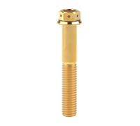 la vite di titanio, Bulloni flangiati esagonali M8x1,25x15-55mm Chiave esagonale da 6mm Lega di titanio Grado 5 Confezione da 4 Multicolore(Gold,50MM-M8)