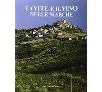 La vite e il vino nelle Marche