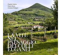 La vite nel paesaggio dei Colli Euganei. Cenni storici, elementi visivi del vigneto, distretti e percorsi vinicoli