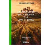 LA VITICOLTURA NELLA PIANURA