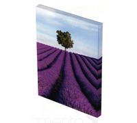LA VOSTRA FOTO STAMPATA SU TELA ARREDO 20 X 30 CM. SPESSORE 4 CM. CON TELAIO