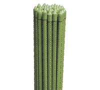 La zappa Cannetta in metallo plastificato tutore reggi piante per giardinaggio ed agricoltura (25, Ø 16 mm x h 210 cm)