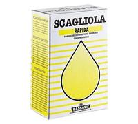 La zappa Gesso Scagliola in polvere per la produzione di manufatti (1 Kg)