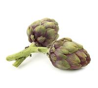 La zappa Semi di carciofo piante per orto e giardino (Di Romagna)