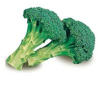 La zappa Semi di Cavolo Broccolo Calabrese precoce piante per orto e giardino (Calabrese di Sarno)
