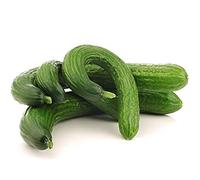 La zappa Semi di cetriolo piante per orto e giardino (Serpente Cinese)