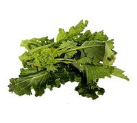La zappa Semi di cima di Rapa "Leccese sessantina cima grossa" piante per orto e giardino