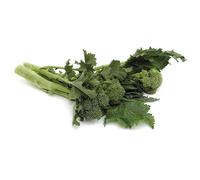 La zappa Semi di cima di Rapa piante per orto e giardino (Riccia di Marzo)