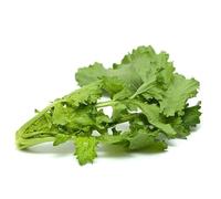 La zappa Semi di cima di Rapa "Sessantina cima grossa" piante per orto e giardino