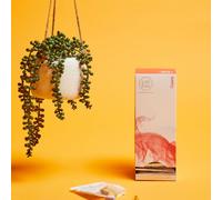 LAB EVO Srl Cuore Sano - Nutrire e Proteggere il Tuo Sistema Cardiovascolare 120 CAPSULE