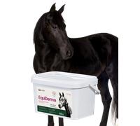 Lab-v EquiDerma - Mangime complementare per cavalli e pony che favorisce la salute della pelle, del pelo e degli zoccoli 2 kg