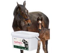 Lab-v EquiPregna - Mangime complementare per cavalle gravide e in allattamento, che favorisce il decorso della gravidanza, lo sviluppo del feto e la produzione di latte 2 kg