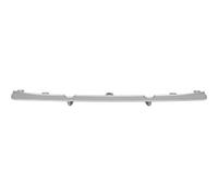 LABBRO ANTERIORE CENTRALE A6/A7, LABBRA/SPOILER 11-18 ARGENTO, - ZUB00353