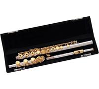 LABLADUO Flauti, Flauti Strumento Musicale Corpo Placcato Argento con Chiavi placcate Oro Flauto C Tono B Piede 17 Foro Aperto Diviso E Offset Chiave G