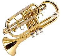 LABLADUO Trombe, Mini Tromba Professionale Lacca in Si bemolle Tasca d'oro Tromba Fluger Ottone Musica Principiante Esame di Grado Suonare la Tromba