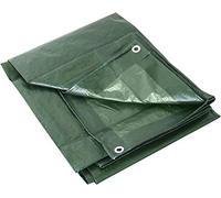 Labor 2742 TELONE OCCHIELLATO GR.100 Verde, 6x10 m