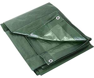 Labor 2742 TELONE OCCHIELLATO GR.100 Verde, 6x10 m