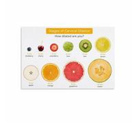 Labor and Delivery Educational Wall Art Cervical Dilation Stages Process Canvas Print for Nursing Student Classroom Home Study(Unframed,12x18inch(30x45cm))