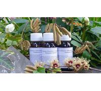 Labor Villa Stoddard LVS 70C Olea Europea Compositum