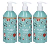 Laboratorio dei Saponi Frozen Berry Sapone Liquido Melograno e Viola S