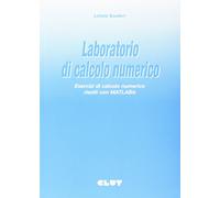Laboratorio di calcolo numerico. Esercizi di calcolo numerico risolti con Matlab