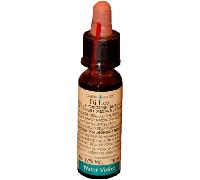 Laboratorio Erboristico Di Leo FIORI DI BACH 34 WATER VIOLET 10 ML DI LEO